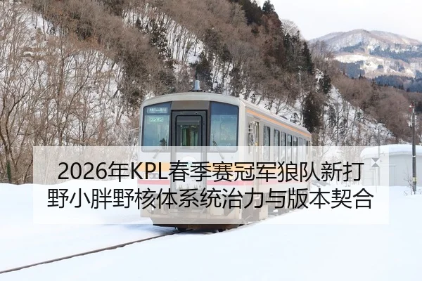 nian-chun-ji-sai-guan-jun-lang-dui-xin-da-ye-xiao-pang-ye-he-ti-xi-tong-zhi-li-yu-ban-ben-qi-he-2-787.jpg